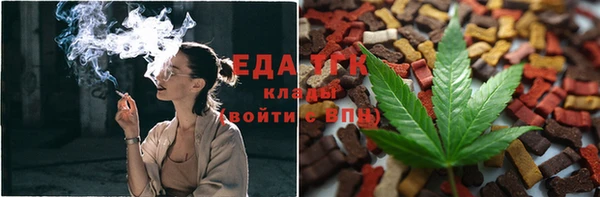 тгк Аркадак