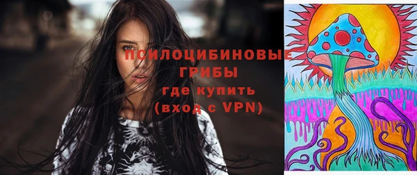 тгк Аркадак