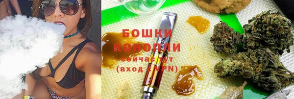 тгк Аркадак