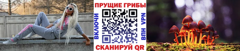 Галлюциногенные грибы мицелий  кракен   Новосиль 